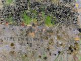 image of grave number 853238
